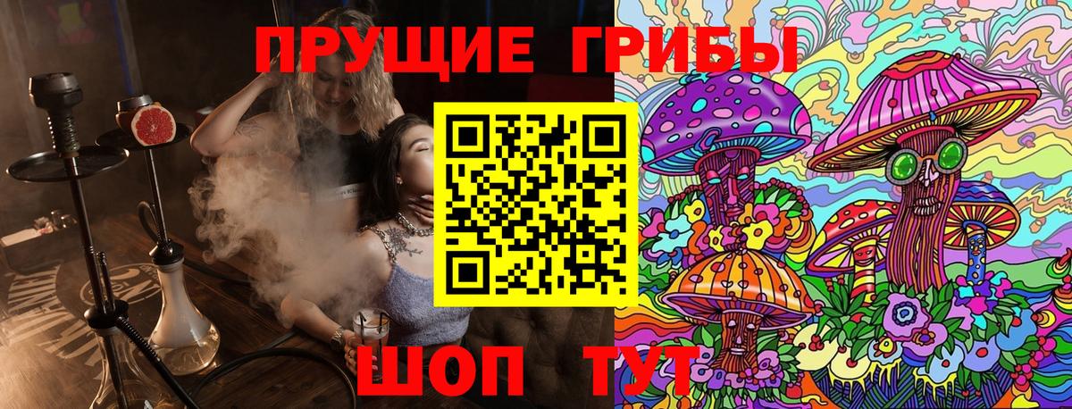 магазин    Псилоцибиновые грибы Magic Shrooms  Вход с VPN  Нижнекамск 