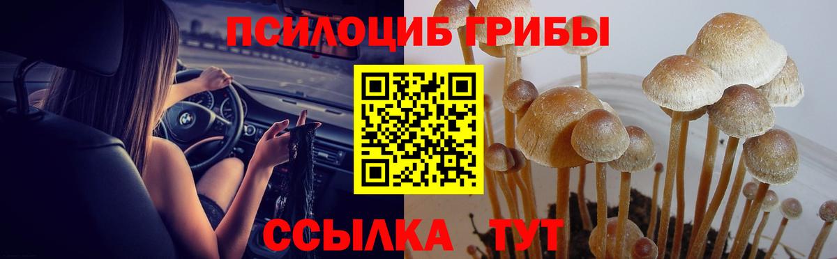 Псилоцибиновые грибы мухоморы Нижнекамск